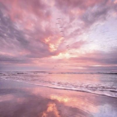 金年会app下载官网官方入口